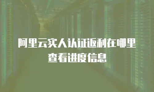 阿里云实人认证返利在哪里查看进度信息