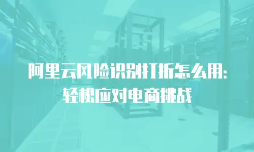 阿里云风险识别打折怎么用：轻松应对电商挑战