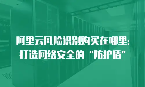 阿里云风险识别购买在哪里：打造网络安全的“防护盾”