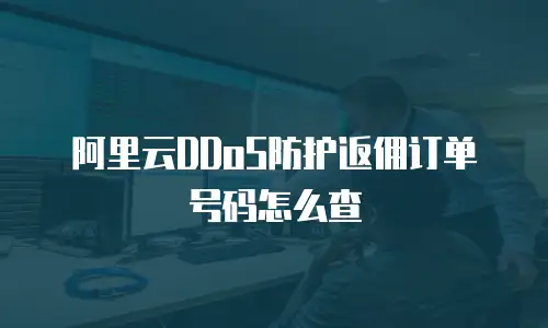 阿里云DDoS防护返佣订单号码怎么查