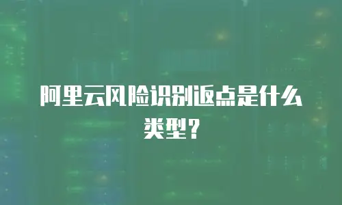 阿里云风险识别返点是什么类型？