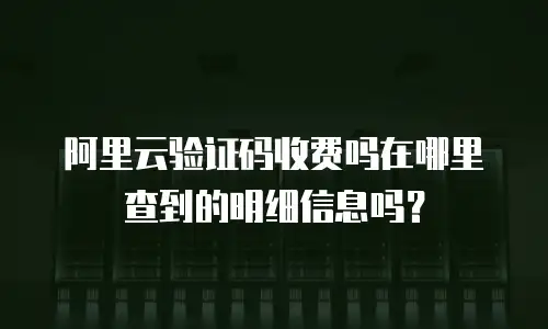 阿里云验证码收费吗在哪里查到的明细信息吗？
