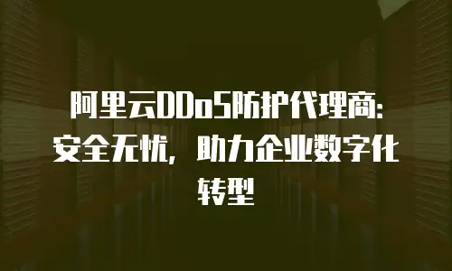阿里云DDoS防护代理商：安全无忧，助力企业数字化转型