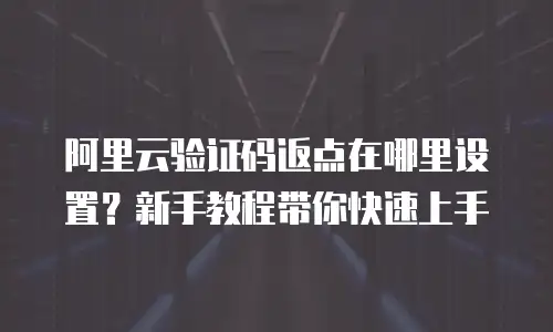 阿里云验证码返点在哪里设置？新手教程带你快速上手