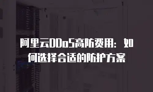 阿里云DDoS高防费用：如何选择合适的防护方案
