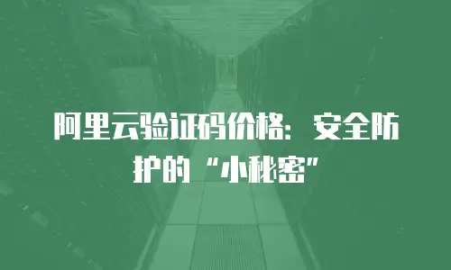 阿里云验证码价格：安全防护的“小秘密”