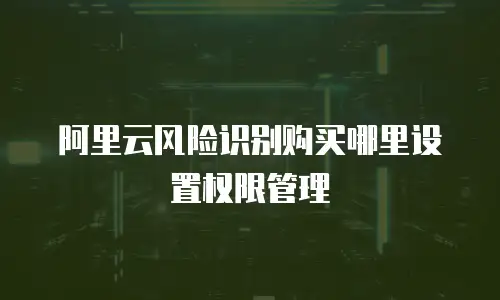 阿里云风险识别购买哪里设置权限管理