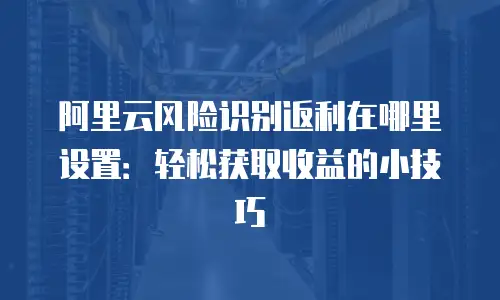 阿里云风险识别返利在哪里设置：轻松获取收益的小技巧