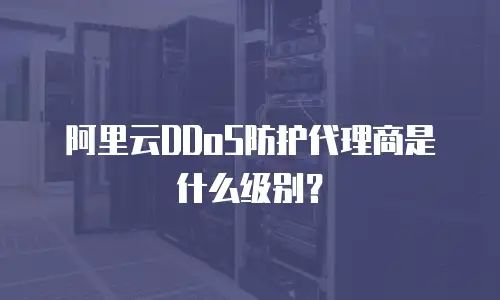 阿里云DDoS防护代理商是什么级别？