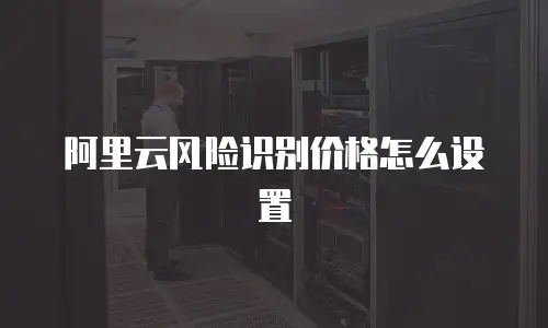 阿里云风险识别价格怎么设置