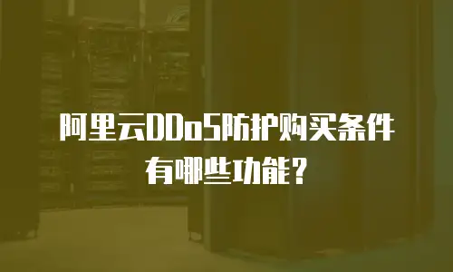 阿里云DDoS防护购买条件有哪些功能？