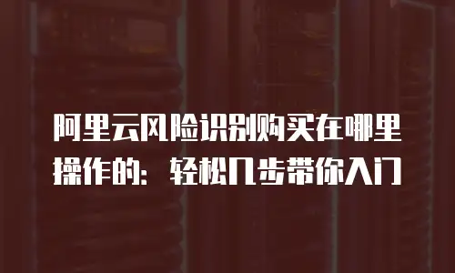 阿里云风险识别购买在哪里操作的：轻松几步带你入门