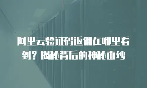 阿里云验证码返佣在哪里看到？揭秘背后的神秘面纱