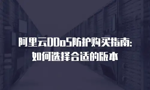 阿里云DDoS防护购买指南：如何选择合适的版本