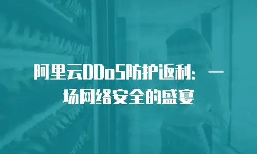 阿里云DDoS防护返利：一场网络安全的盛宴