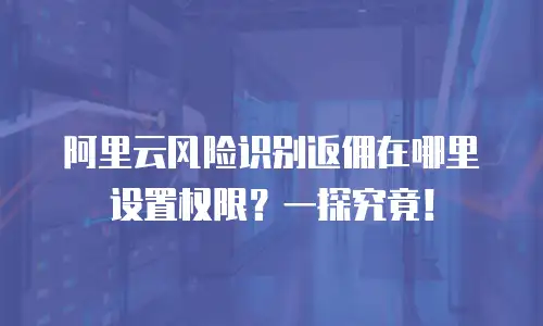 阿里云风险识别返佣在哪里设置权限？一探究竟！