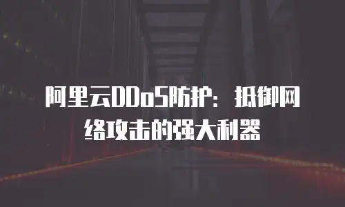 阿里云DDoS防护：抵御网络攻击的强大利器