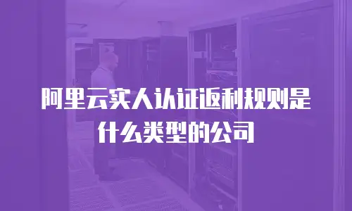 阿里云实人认证返利规则是什么类型的公司