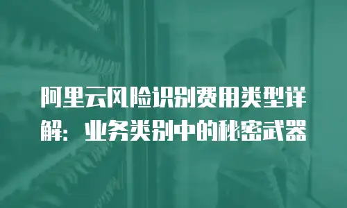 阿里云风险识别费用类型详解：业务类别中的秘密武器