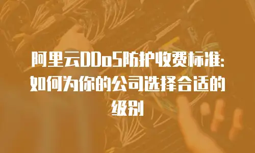 阿里云DDoS防护收费标准：如何为你的公司选择合适的级别