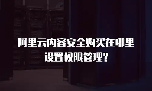阿里云内容安全购买在哪里设置权限管理？
