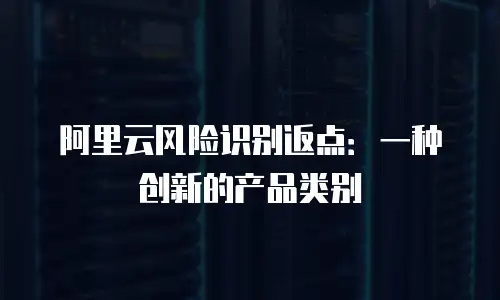 阿里云风险识别返点：一种创新的产品类别
