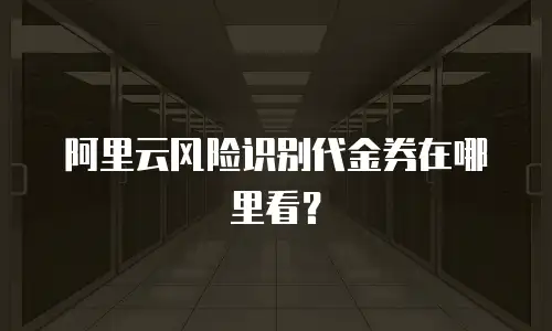 阿里云风险识别代金券在哪里看？