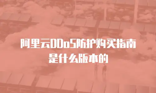 阿里云DDoS防护购买指南是什么版本的