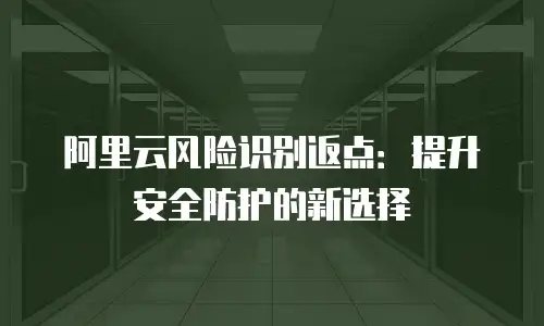 阿里云风险识别返点：提升安全防护的新选择