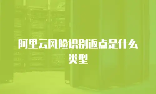 阿里云风险识别返点是什么类型