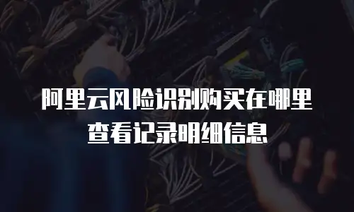 阿里云风险识别购买在哪里查看记录明细信息