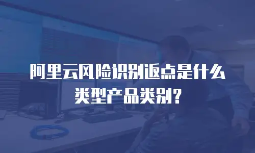 阿里云风险识别返点是什么类型产品类别？