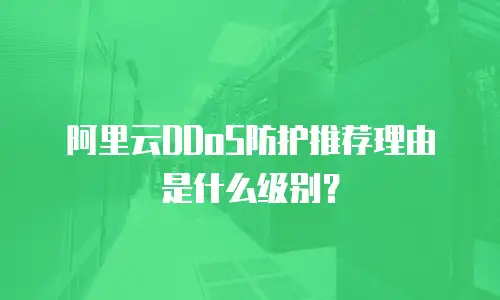 阿里云DDoS防护推荐理由是什么级别？