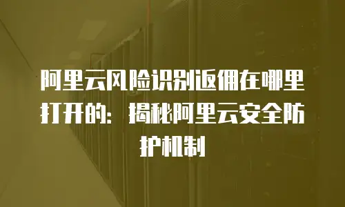 阿里云风险识别返佣在哪里打开的：揭秘阿里云安全防护机制
