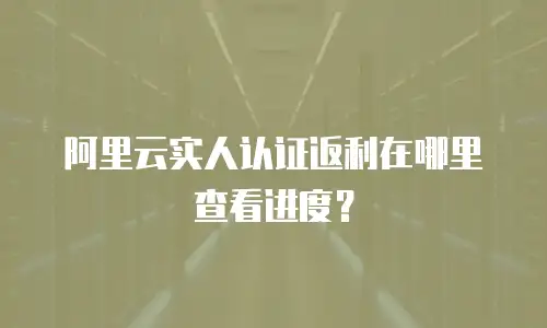 阿里云实人认证返利在哪里查看进度？