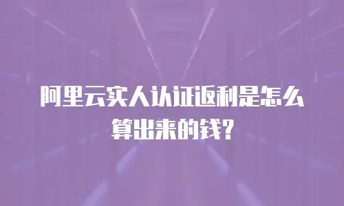 阿里云实人认证返利是怎么算出来的钱？