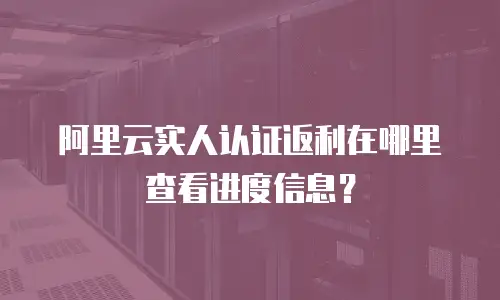 阿里云实人认证返利在哪里查看进度信息？