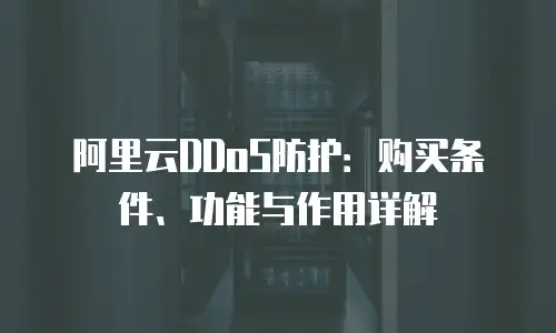 阿里云DDoS防护：购买条件、功能与作用详解