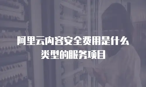 阿里云内容安全费用是什么类型的服务,阿里云内容安全费用是什么类型的服务项目