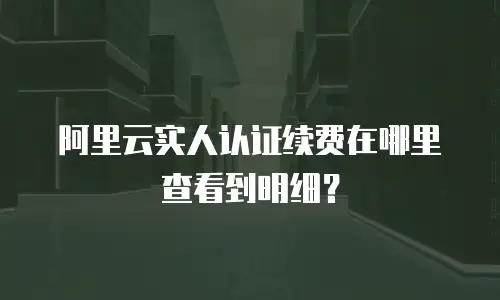 阿里云实人认证续费在哪里查看到明细？