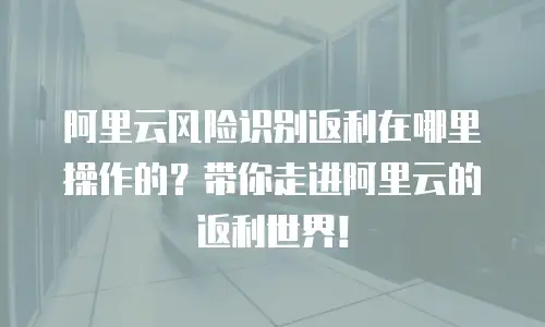 阿里云风险识别返利在哪里操作的？带你走进阿里云的返利世界！