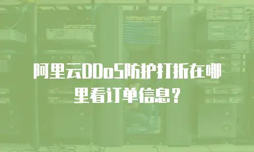 阿里云DDoS防护打折在哪里看订单信息？