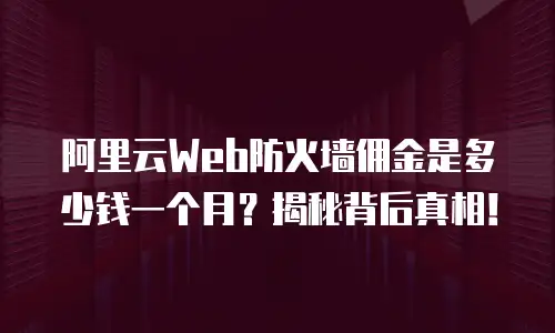 阿里云Web防火墙佣金是多少钱一个月？揭秘背后真相！