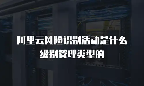 阿里云风险识别活动是什么级别管理类型的