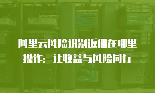 阿里云风险识别返佣在哪里操作：让收益与风险同行