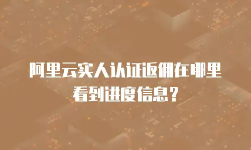 阿里云实人认证返佣在哪里看到进度信息？