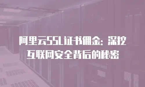 阿里云SSL证书佣金: 深挖互联网安全背后的秘密