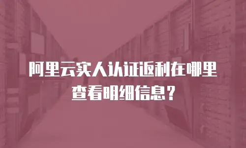 阿里云实人认证返利在哪里查看明细信息？