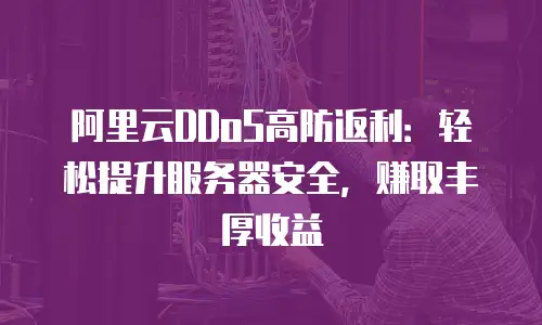 阿里云DDoS高防返利：轻松提升服务器安全，赚取丰厚收益