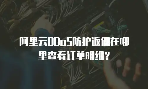 阿里云DDoS防护返佣在哪里查看订单明细？